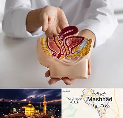 دکتر دستگاه تناسلی مردان در مشهد