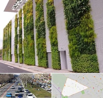 دیوار سبز در احمدآباد مشهد 