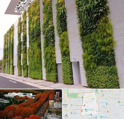 دیوار سبز در منطقه 6 تهران 