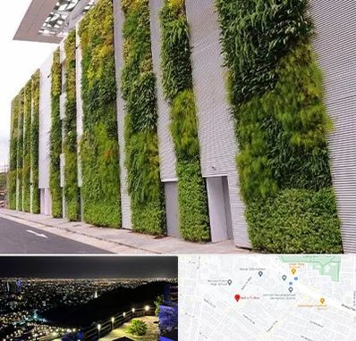 دیوار سبز در هفت تیر مشهد 