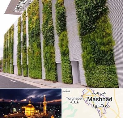دیوار سبز در مشهد
