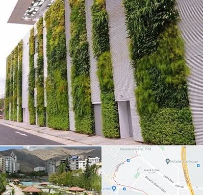 دیوار سبز در شهر زیبا 