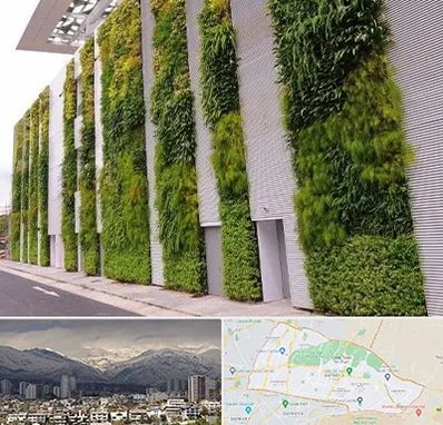 دیوار سبز در منطقه 4 تهران 