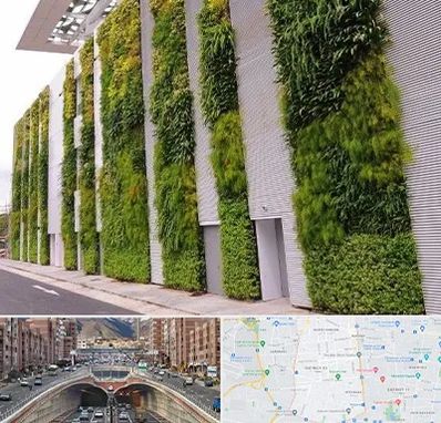 دیوار سبز در منطقه 10 تهران 
