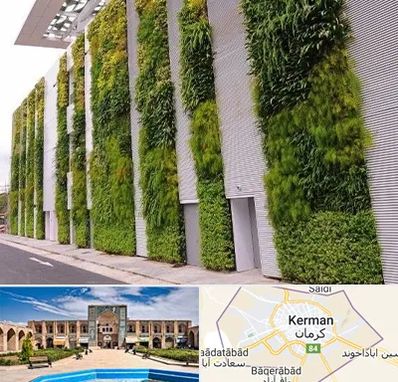 دیوار سبز در کرمان