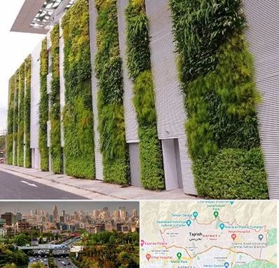 دیوار سبز در منطقه 1 تهران 