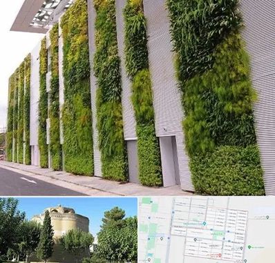 دیوار سبز در مرداویج اصفهان 