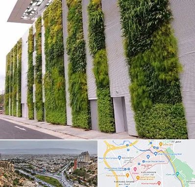 دیوار سبز در معالی آباد شیراز 