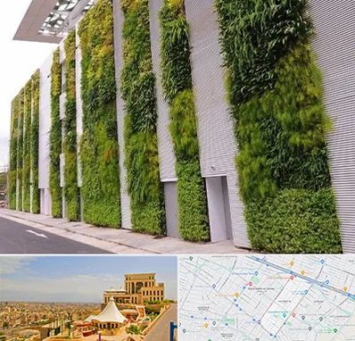 دیوار سبز در هاشمیه مشهد 