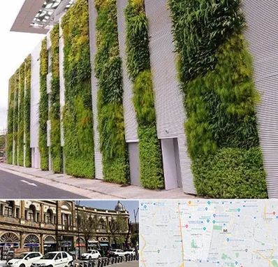 دیوار سبز در منطقه 11 تهران 