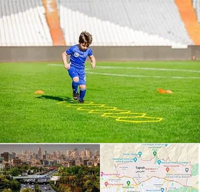 مدرسه فوتبال در منطقه 1 تهران