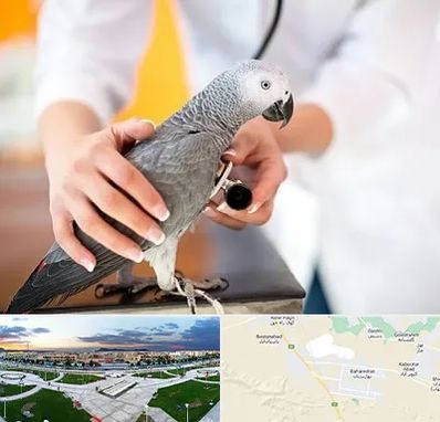 دامپزشکی پرندگان در بهارستان اصفهان