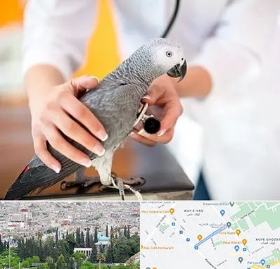 دامپزشکی پرندگان در محلاتی شیراز