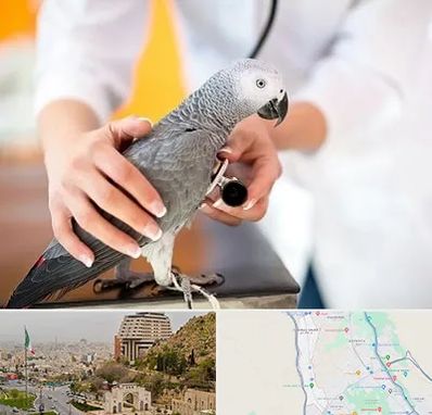 دامپزشکی پرندگان در فرهنگ شهر شیراز
