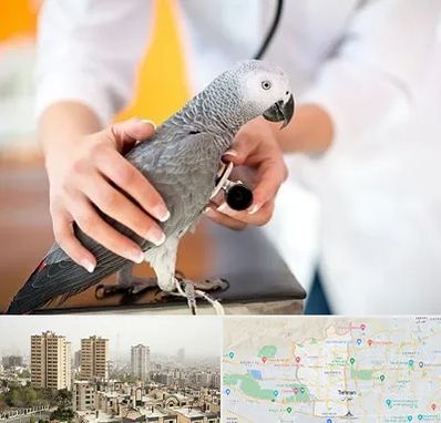 دامپزشکی پرندگان در منطقه 5 تهران