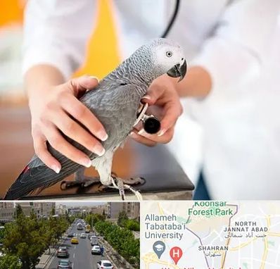 دامپزشکی پرندگان در شهران