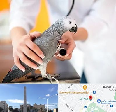 دامپزشکی پرندگان در فلکه گاز شیراز