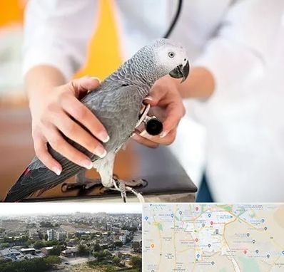 دامپزشکی پرندگان در منطقه 20 تهران