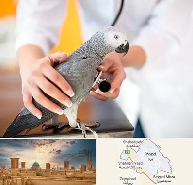 دامپزشکی پرندگان در یزد