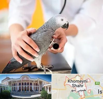 دامپزشکی پرندگان در خمینی شهر