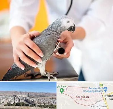 دامپزشکی پرندگان در شهرک گلستان شیراز