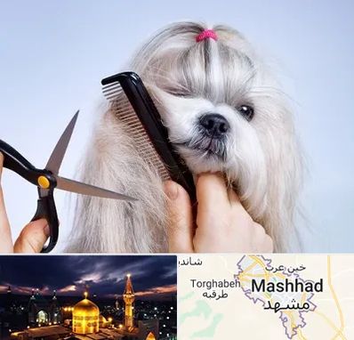 آرایشگاه حیوانات خانگی در مشهد