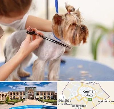 آرایشگاه سگ در کرمان