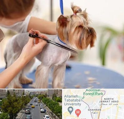 آرایشگاه سگ در شهران 
