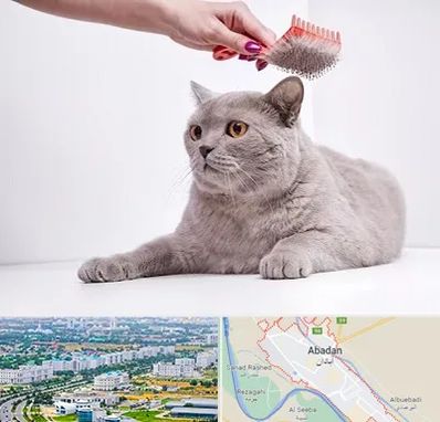 آرایشگاه گربه در آبادان