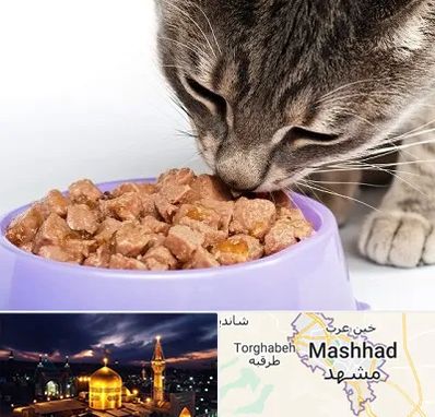 فروشگاه غذای گربه در مشهد
