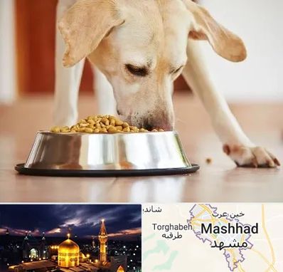 فروشگاه غذای سگ در مشهد