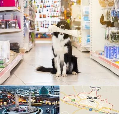 فروشگاه لوازم حیوانات خانگی در زنجان