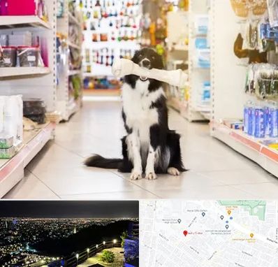 فروشگاه لوازم حیوانات خانگی در هفت تیر مشهد
