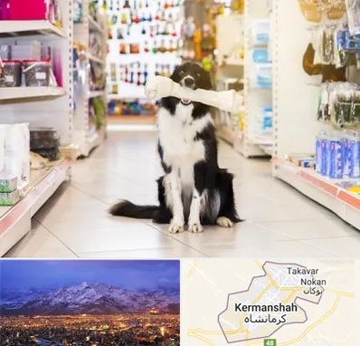 فروشگاه لوازم حیوانات خانگی در کرمانشاه