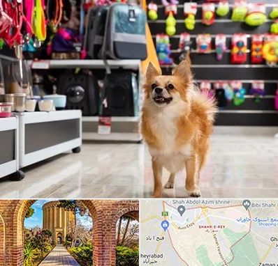 فروشگاه لوازم سگ در شهر ری