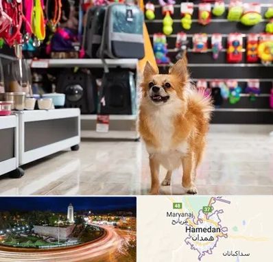 فروشگاه لوازم سگ در همدان