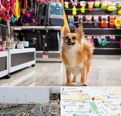 فروشگاه لوازم سگ در بلوار توس مشهد