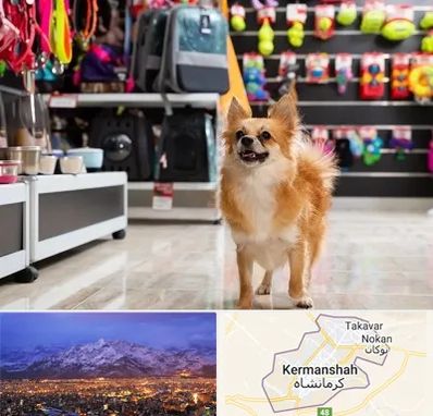 فروشگاه لوازم سگ در کرمانشاه