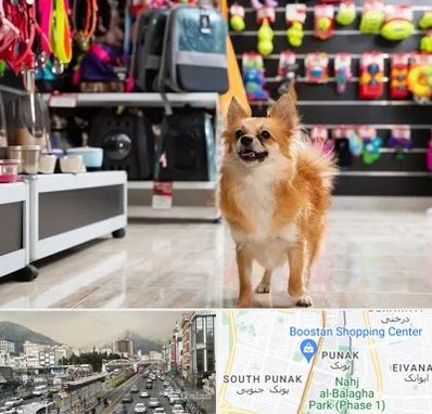 فروشگاه لوازم سگ در پونک 