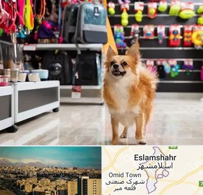 فروشگاه لوازم سگ در اسلامشهر