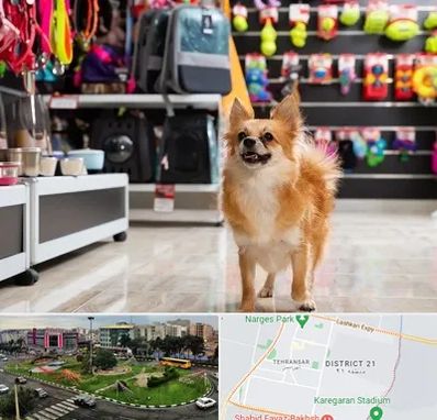 فروشگاه لوازم سگ در تهرانسر 