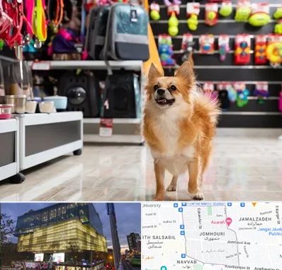 فروشگاه لوازم سگ در جمهوری 
