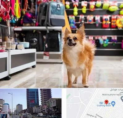 فروشگاه لوازم سگ در چهارراه طالقانی کرج