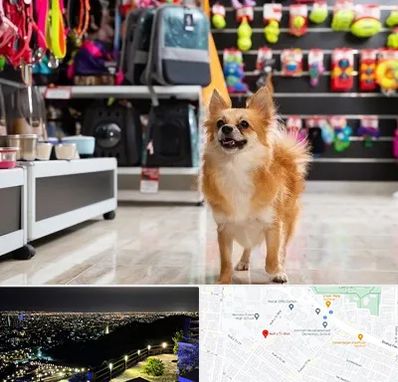 فروشگاه لوازم سگ در هفت تیر مشهد