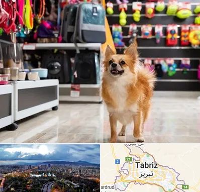 فروشگاه لوازم سگ در تبریز