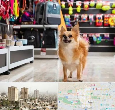 فروشگاه لوازم سگ در منطقه 5 تهران