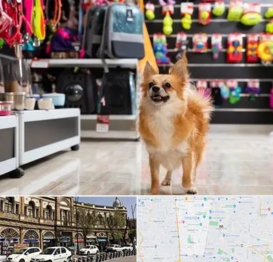 فروشگاه لوازم سگ در منطقه 11 تهران