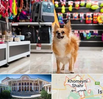 فروشگاه لوازم سگ در خمینی شهر