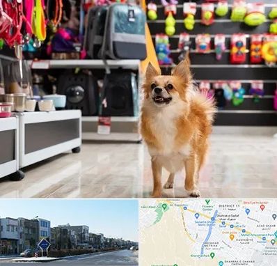 فروشگاه لوازم سگ در شریعتی مشهد