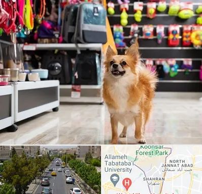 فروشگاه لوازم سگ در شهران 